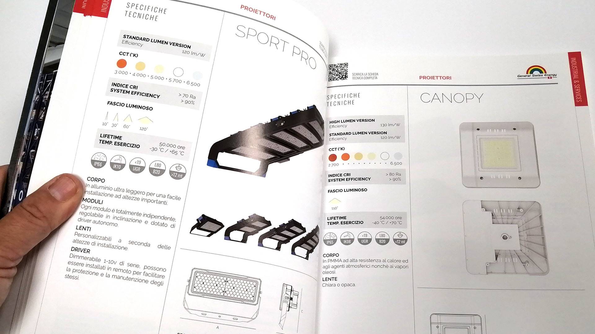 Progetto grafico GSE
